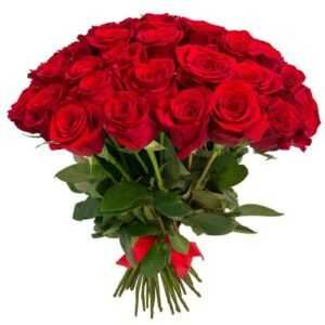 Розы эквадор